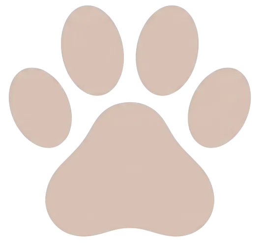 patte de chien marron