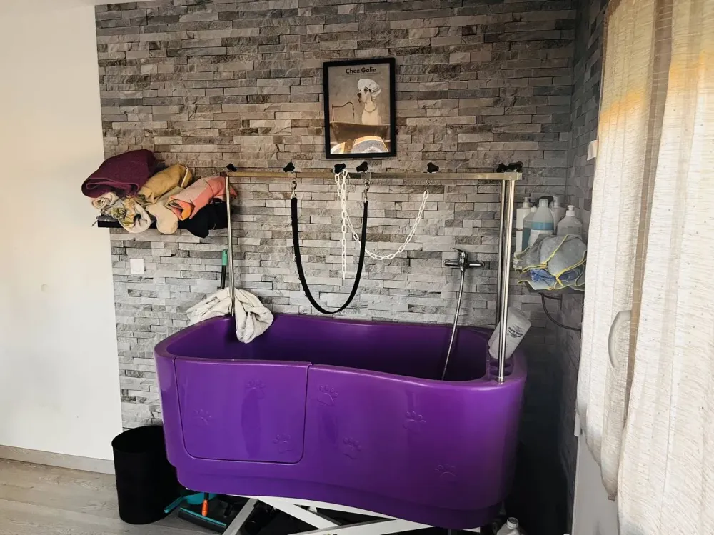 Balneotherapie-pour-chien